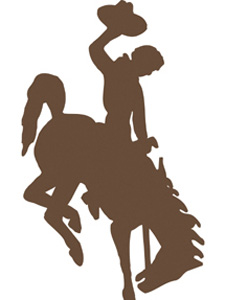 Pictures Of Horses Bucking - ClipArt Best