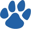 CMSoccer - Home Page