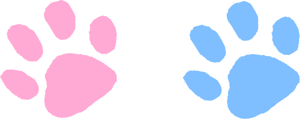 Pink Panther Paw Print Clip Art Image Search Results