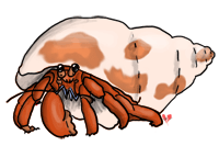 Realistic Hermit Crab Pictures Clipart,Echo's Ocean Clipart and ...