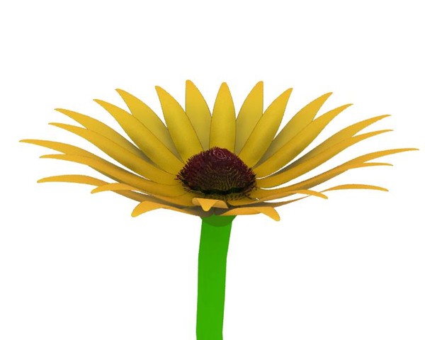 3d model of flower opening animation