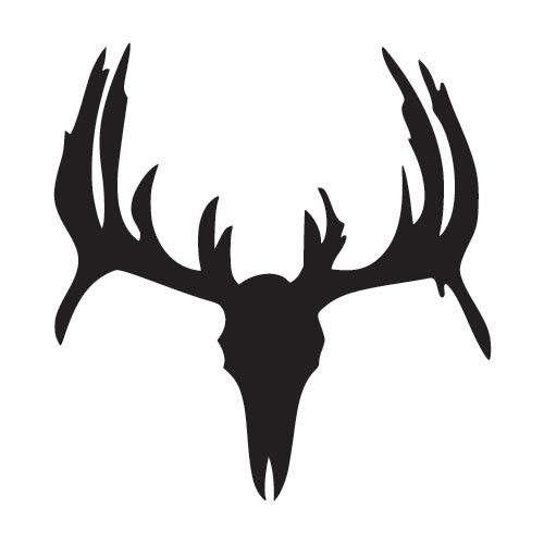 Whitetail Deer Skull WIndow Decal