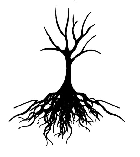 Leafless Tree Showing Roots (Small) // FLONZ Clear stamp clingy ...