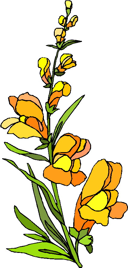 Clip Art - Clip art plants 618858