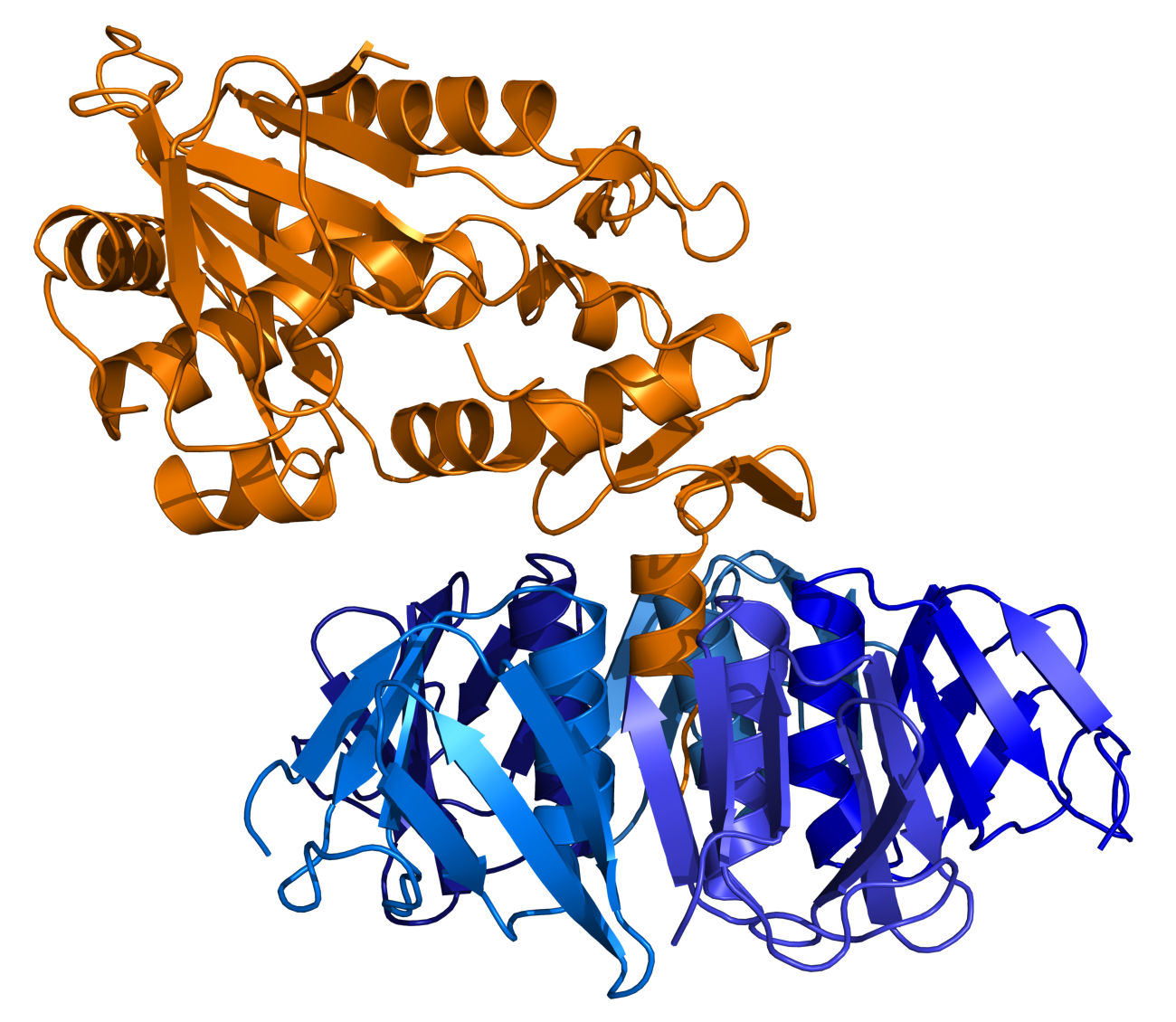 Shiga toxin