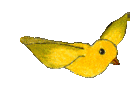 Free Animated Bird Gifs - Bird Animations - Clipart