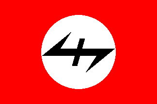 Neo-Nazi flag symbolism