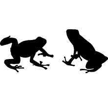 Frog Silhouette - ClipArt Best