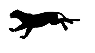Centre for Fortean Zoology Australia: Doon Doon panther stalks the ...