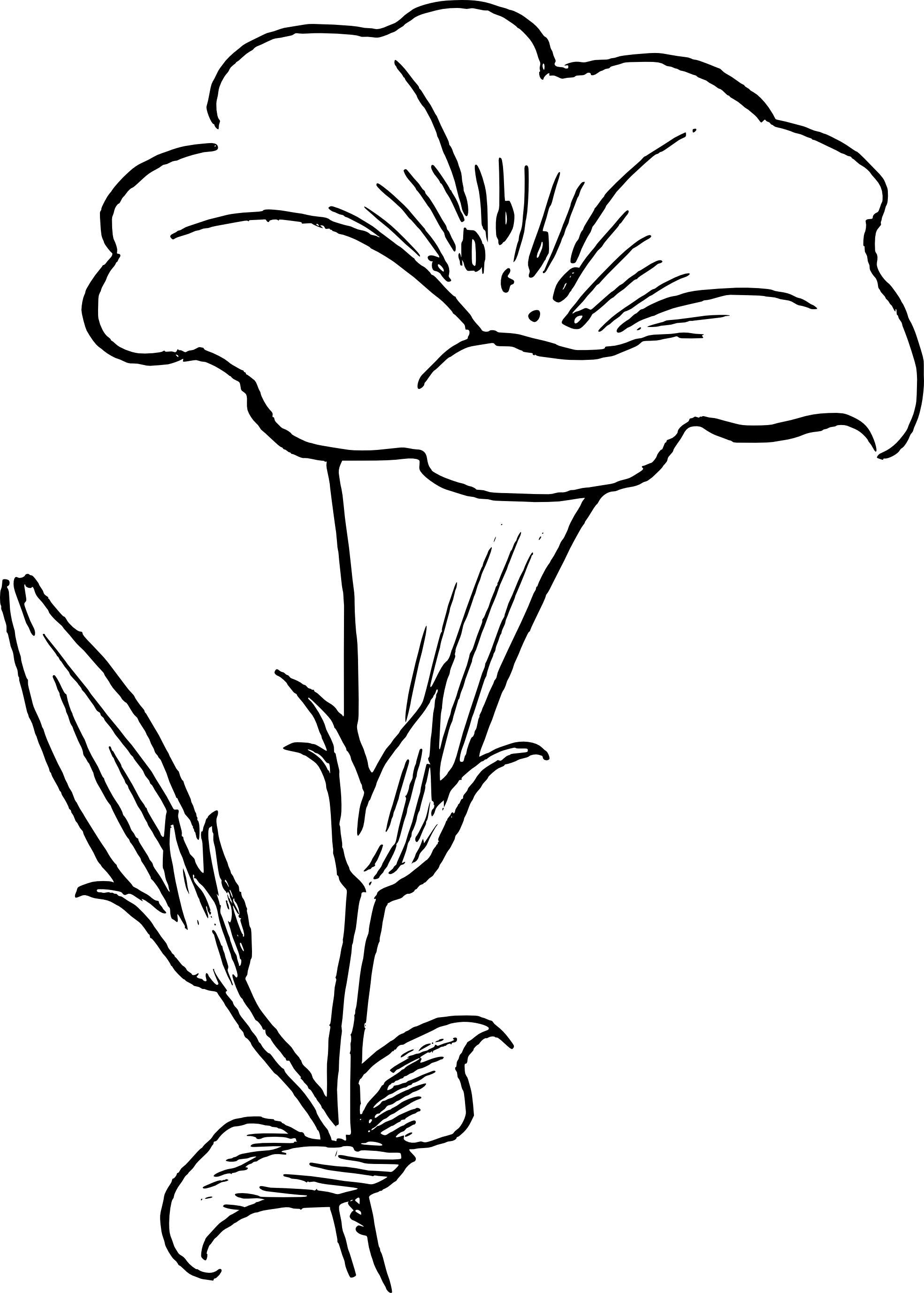 Line Drawing Of Flowers Clipart