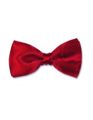 Bow Ties: Clothing