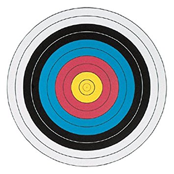 Amazon.com : Maple Leaf Fita Official 10 Ring Targets - 17" X 17 ...