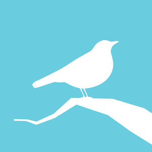 Animated Number With Birds - ClipArt Best
