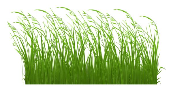 Gif clipart images of grass