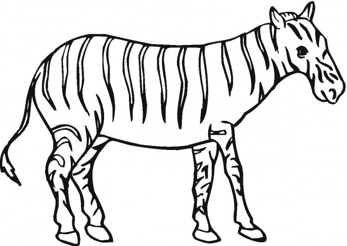 40+ Zebra Templates - Free PSD, Vector EPS, PNG Format Download ...