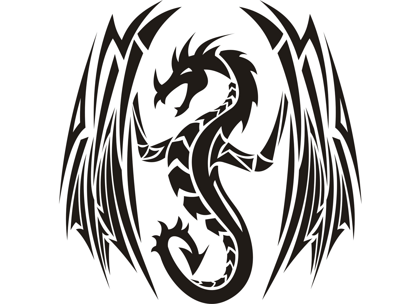 Free designs - Wide eings of tribal dragon tattoo wallpaper ...