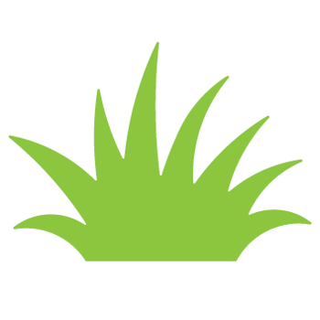 Patch of grass clipart - ClipartFox