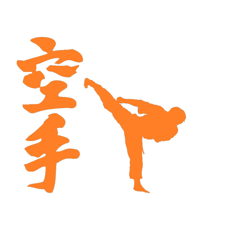 Online Get Cheap Martial Arts Graphics -Aliexpress.com | Alibaba Group