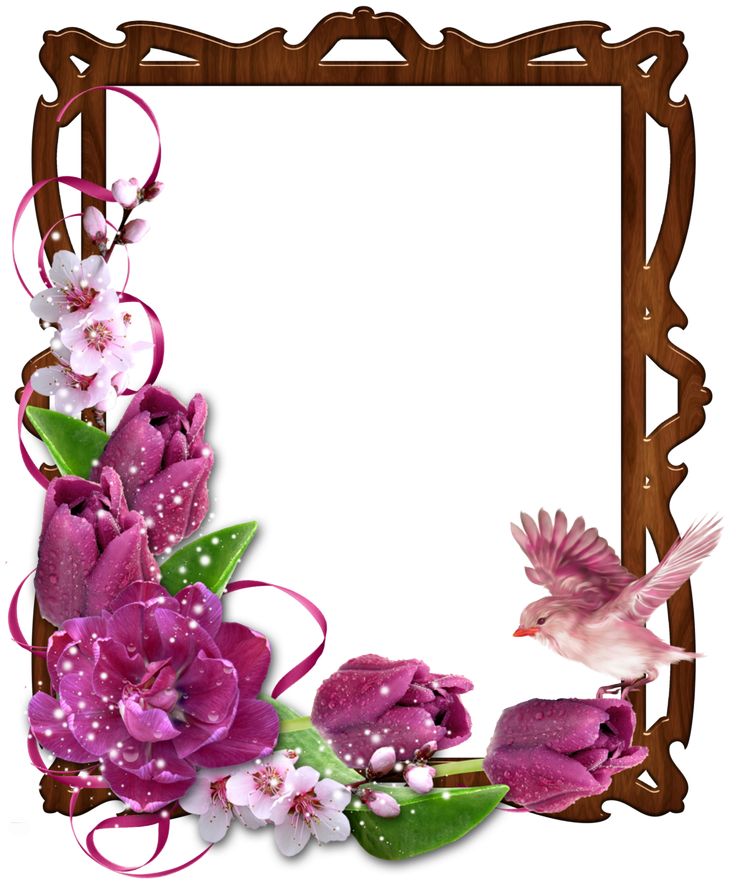 Borders And Frames | Page Borders ...