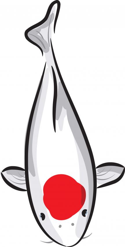 Koi Clipart – Clipart Free Download