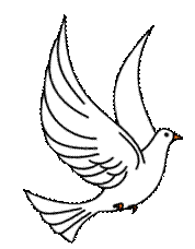 image003.gif