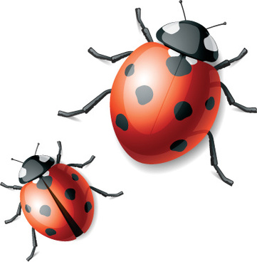 Free download ladybug vector free vector download (181 Free vector ...