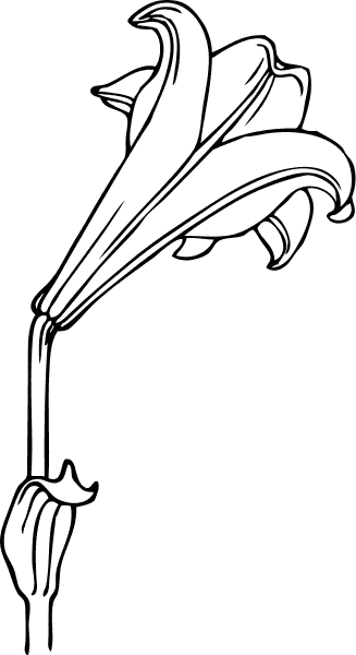 Free Lily Clipart - Public Domain Flower clip art, images and graphics