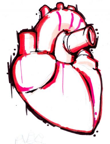 Heart By Playa from the Hymalaya | Nature Cartoon | TOONPOOL