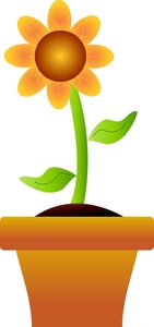 potted_daisy_flower_0515-1006- ...