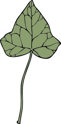 ivy_leaf_clip_art_11611.jpg