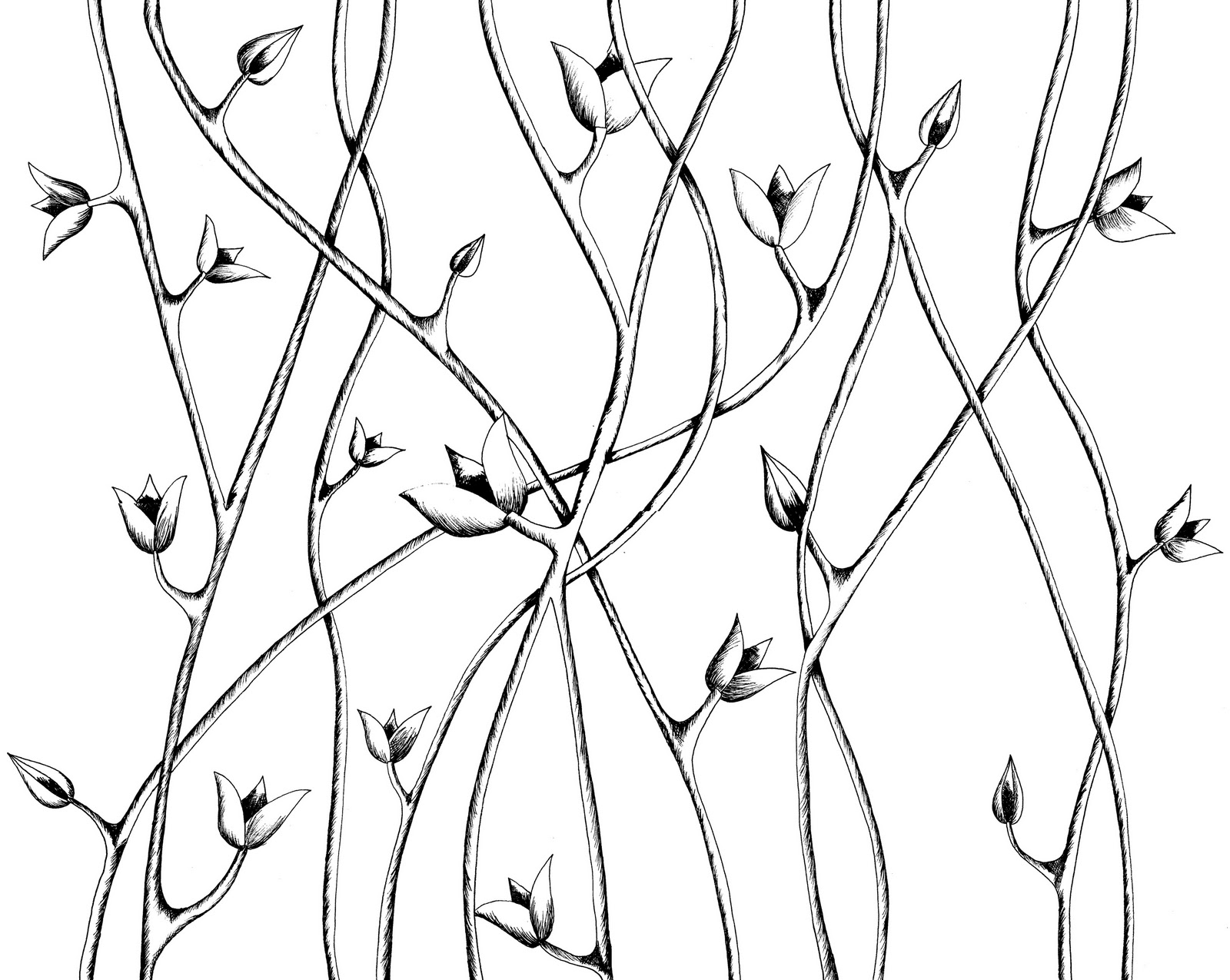 Flower Vine Drawing