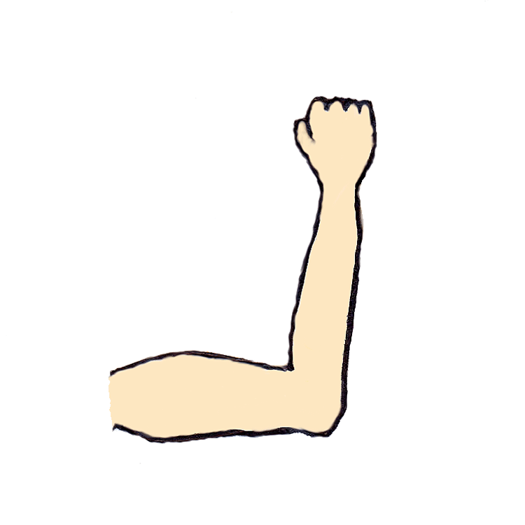 Muscle Arm Cartoon | Free Download Clip Art | Free Clip Art | on ...