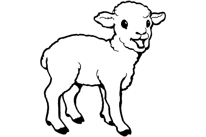 baby goat coloring pages leapfrog printable ba animal coloring ...