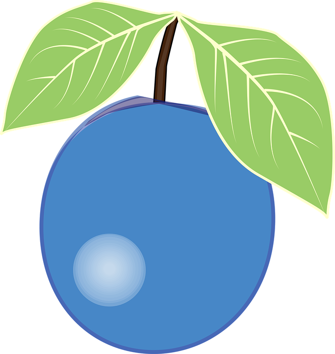 4259-berries berry blueberries blueberry free vector graphics free ...