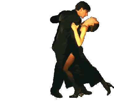 Transparent GIF Sticker - Find & Share on GIPHY