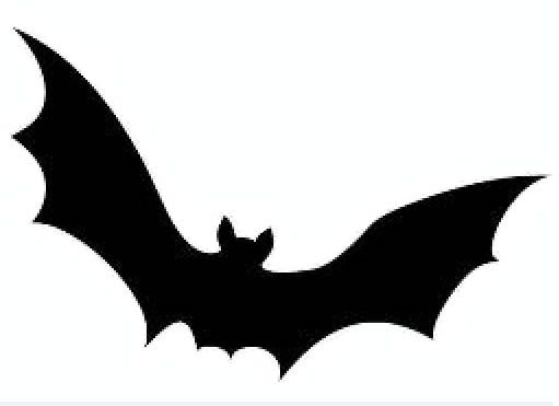 1000+ images about Halloween Bats