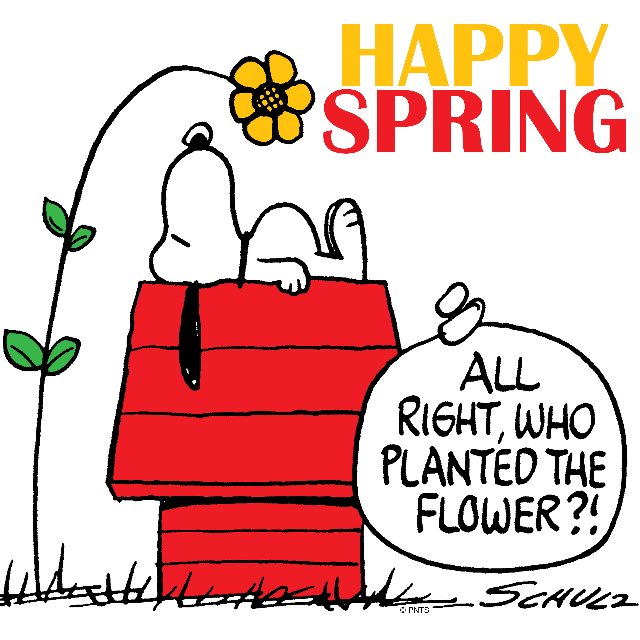1000+ images about Springtime | Groundhog day, Happy ...