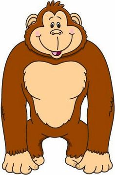 Cartoon birds, Funny and Cartoon