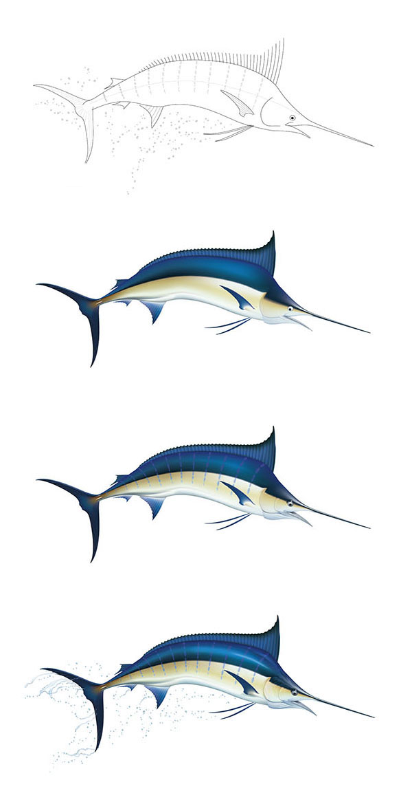 Drawing of a blue marlin on Behance