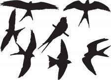 Flying Birds Wall Stickers