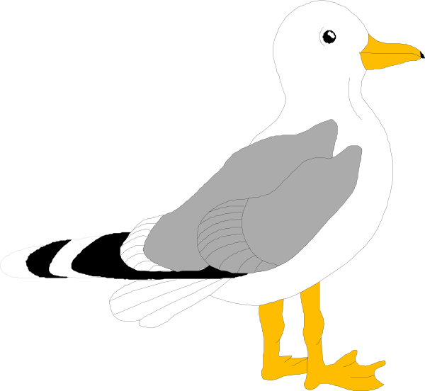 Seagull Color Pages