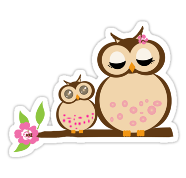 Cartoon Baby Owl