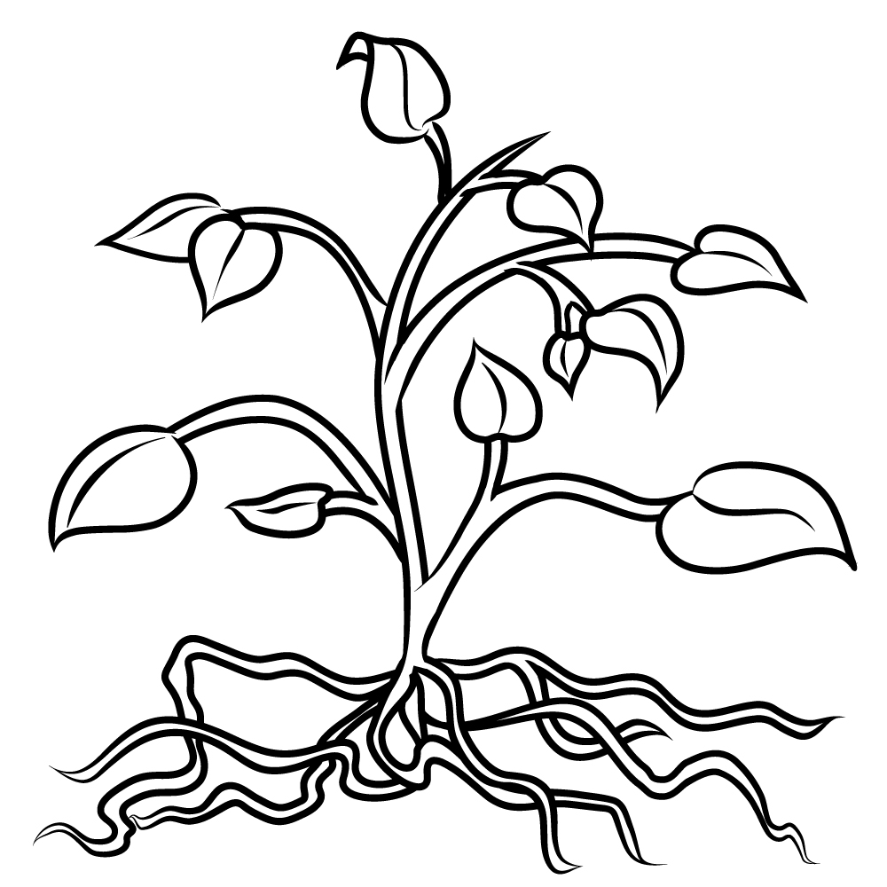 UDL Illustration Center