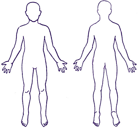 Outline Of A Human Body