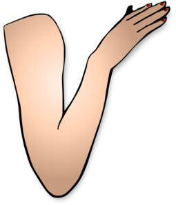 Arm And Hand clip art - vector clip art online, royalty free ...
