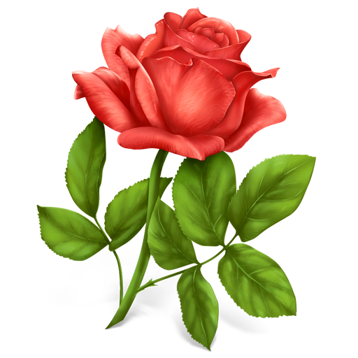 Flower, Plant, Rose icon