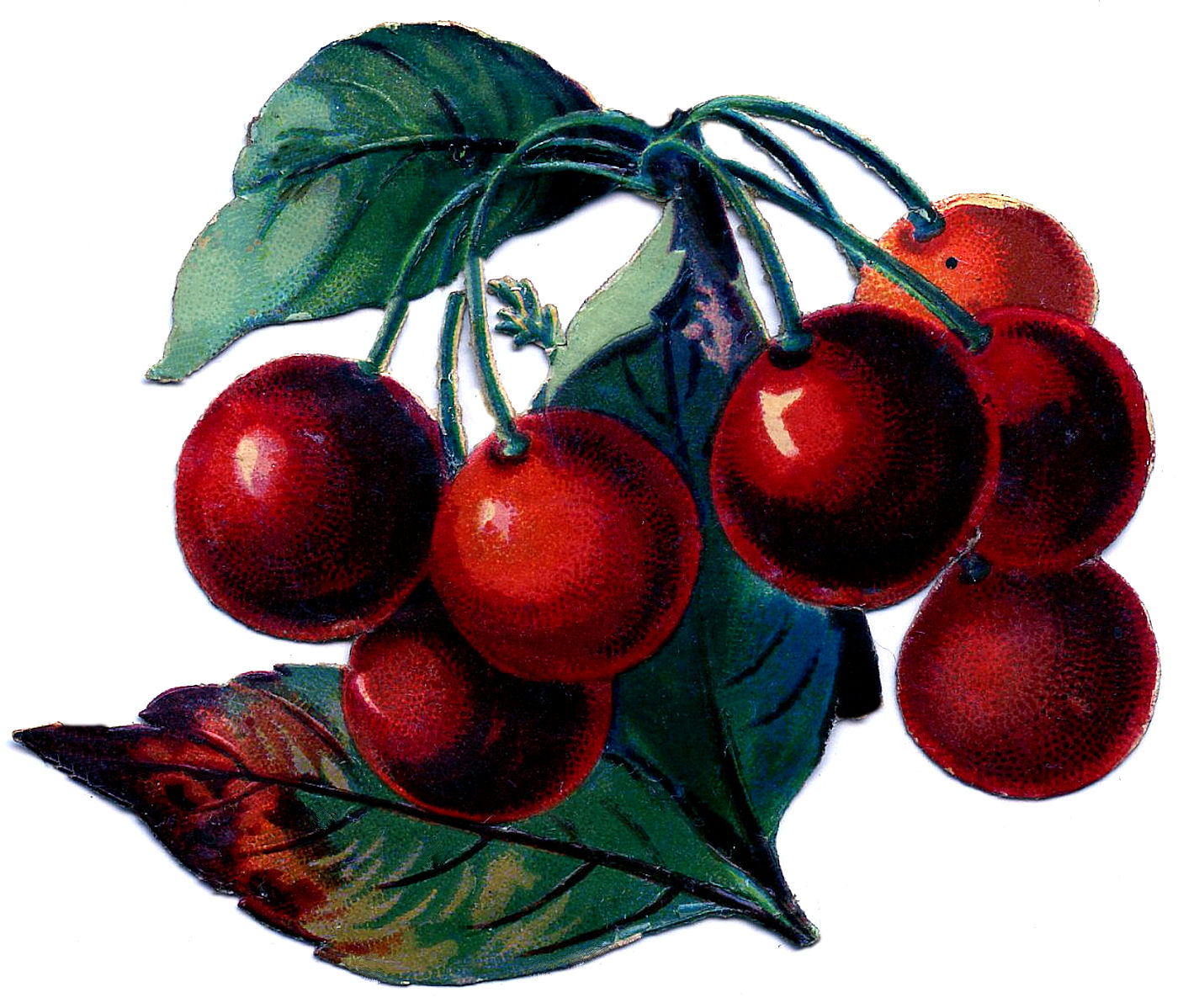 Fruit and Vegis Archives - Page 3 of 3 - The Graphics Fairy