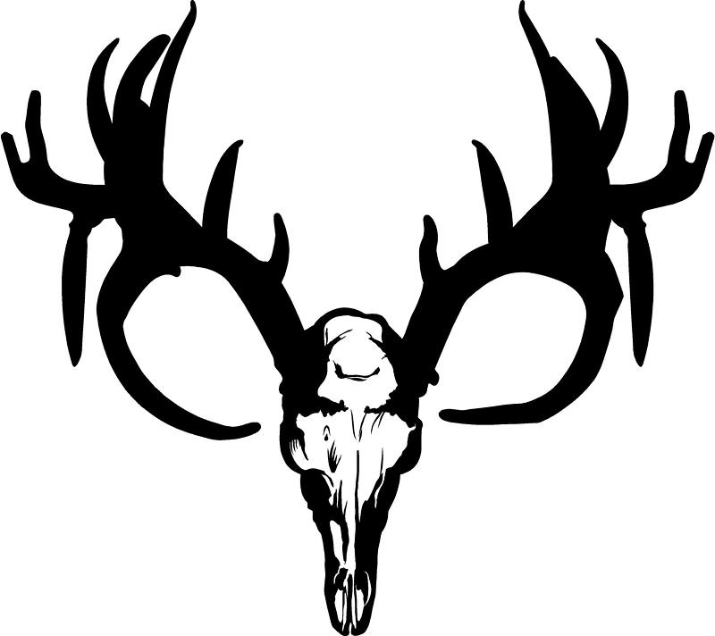 Buck deer skull clip art
