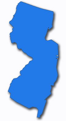 State shaped guitars [Archive] - The Gear Page