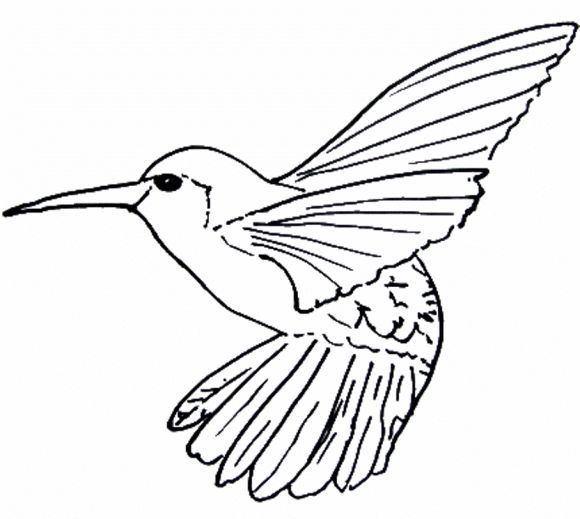 1000+ images about Line drawings